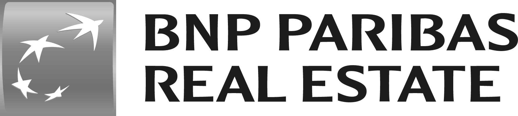 BNP Paribas Real Estate_1C_400px